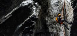 Xentum | News & resources