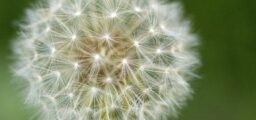 Xentum | Tax Planning