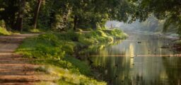 Xentum | Tax Planning