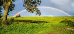 Xentum | Tax Planning
