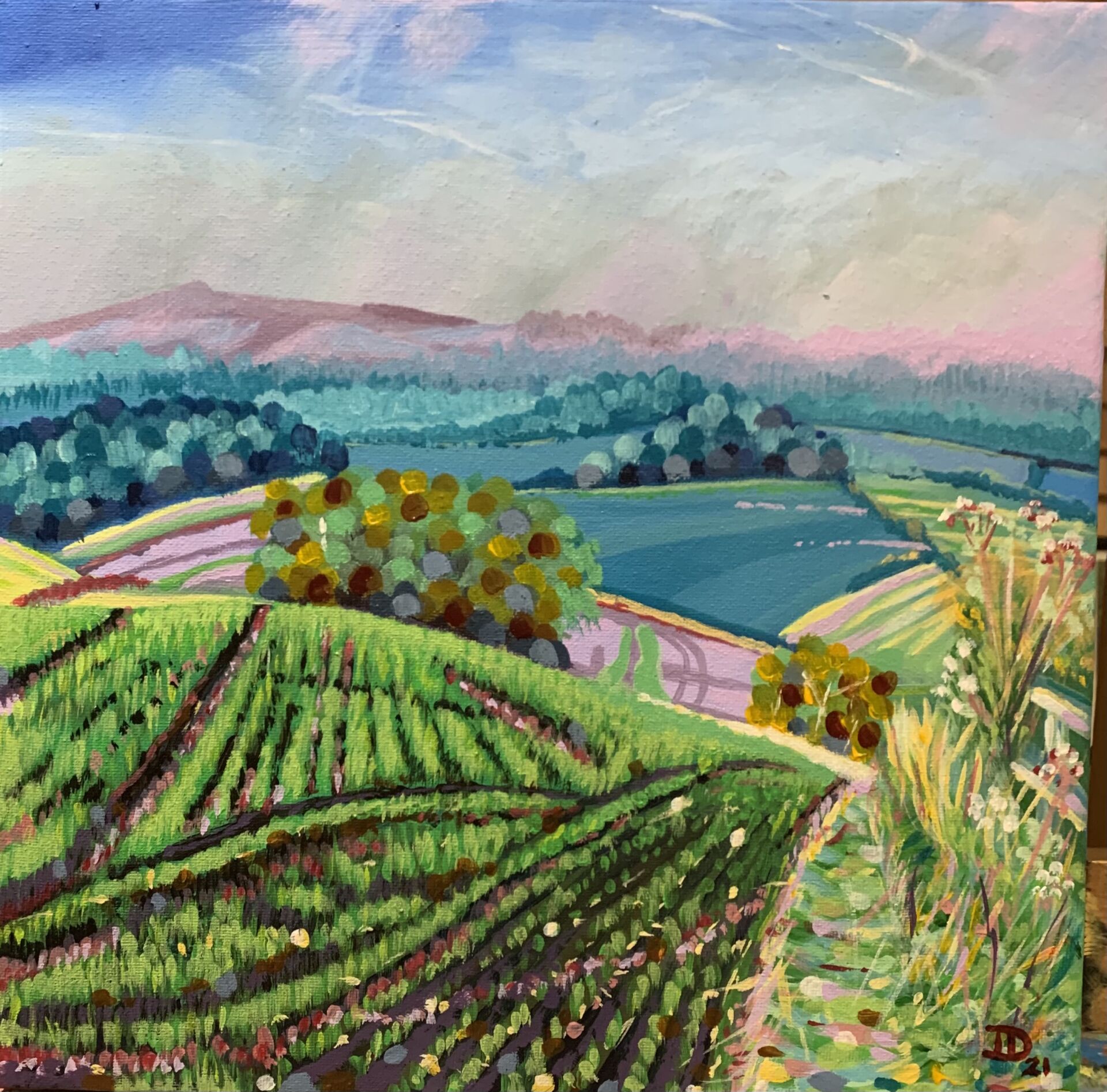 CLIENT STORY How Ian Davenport Found Financial Freedom to Go From