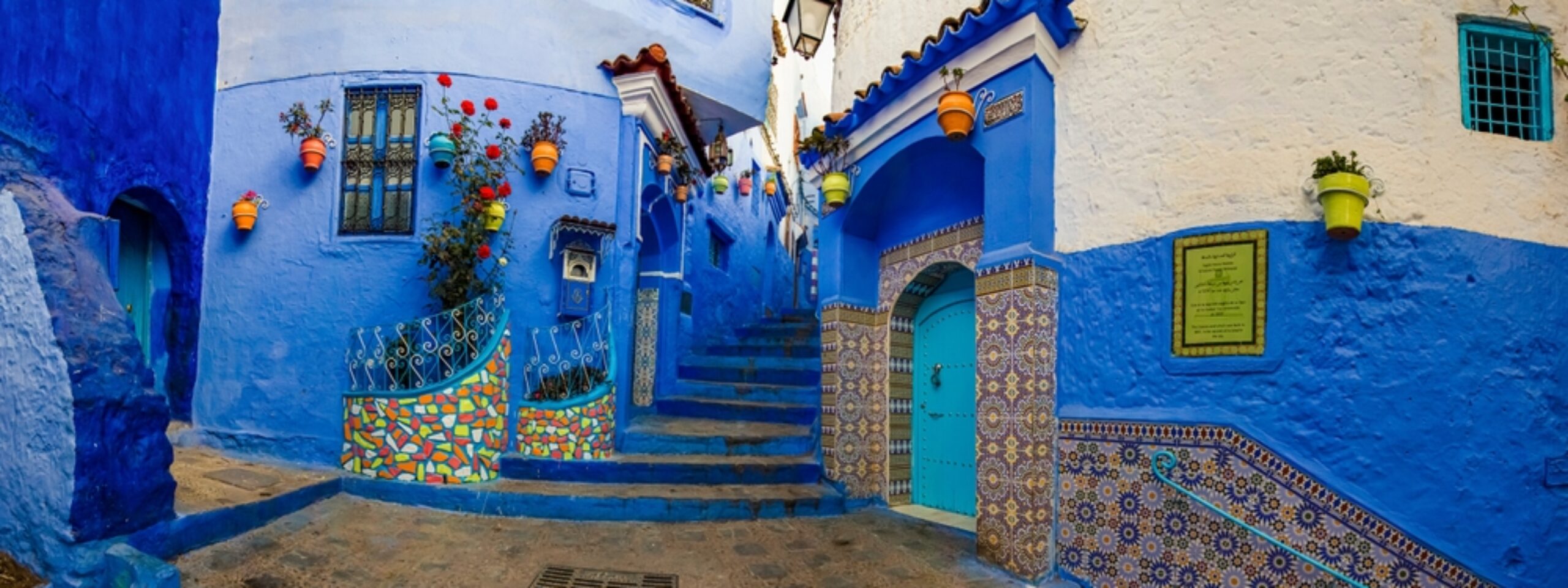 Xentum | What Real Value Looks Like in Financial Advice