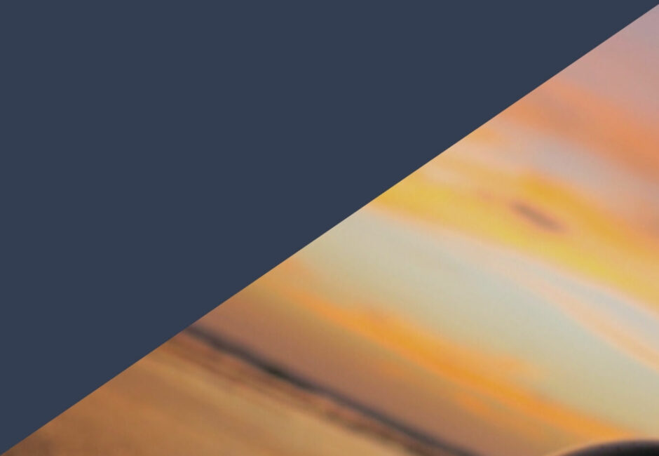 Xentum | Homepage 2023