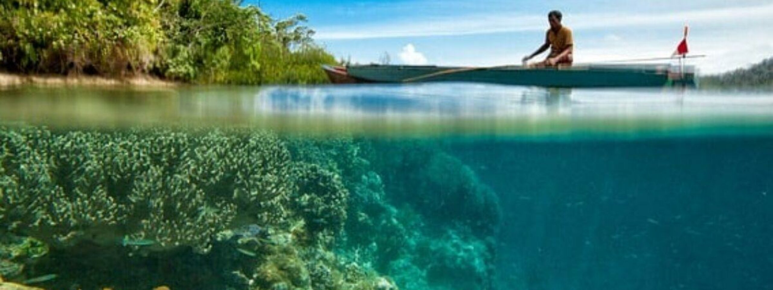 Xentum | Sri Lanka Family Adventures