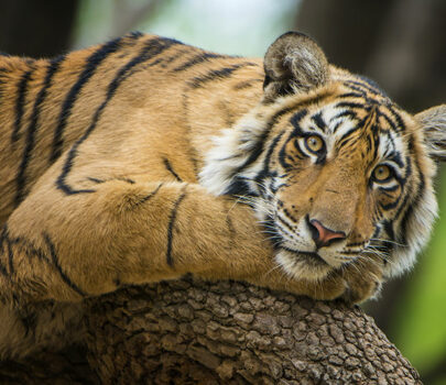 Xentum | News & resources